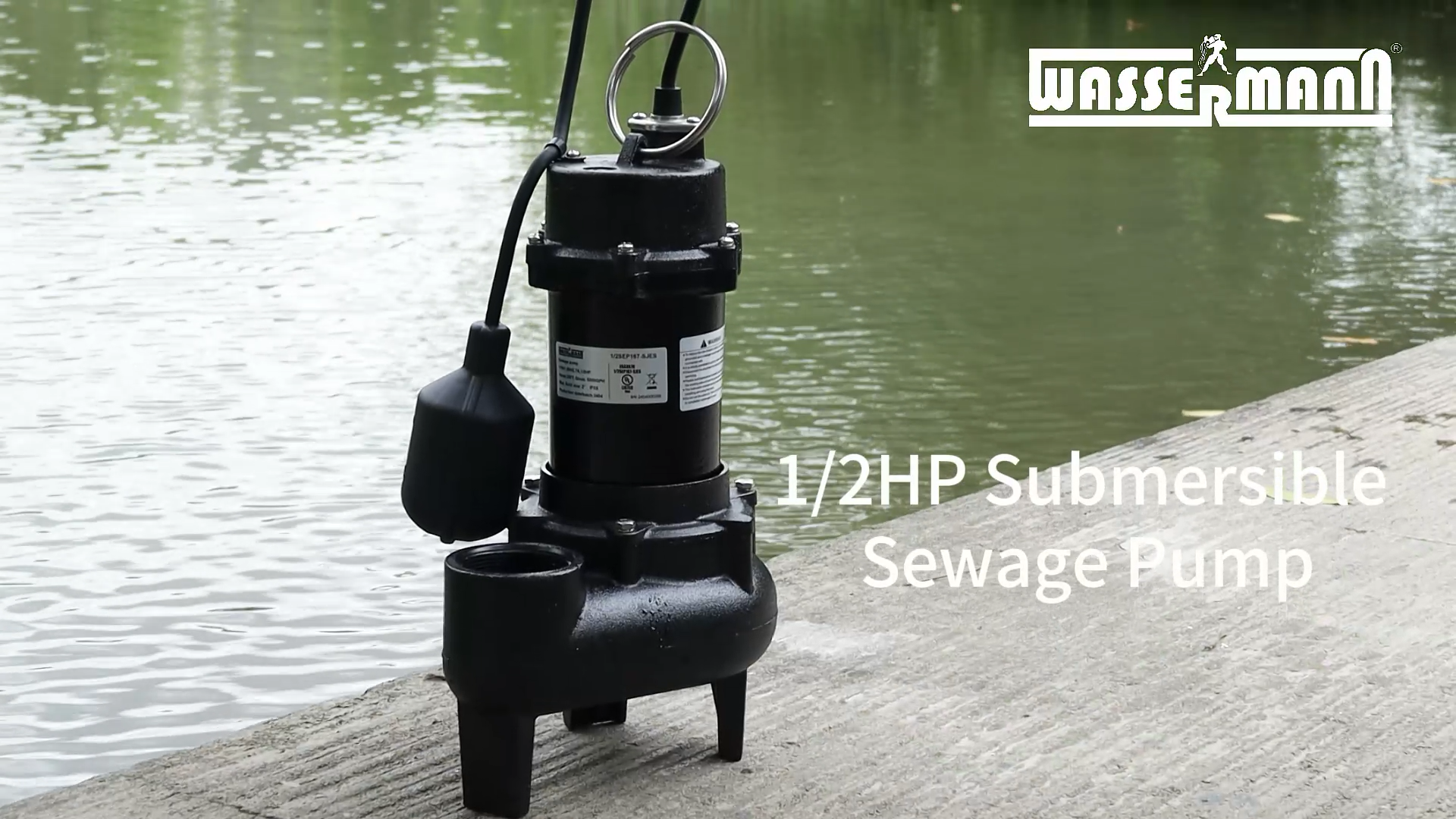 WASSERMANN 1/2 HP Sewage Pump with Auto Float Switch, 115V 5300